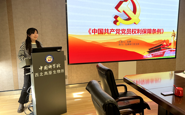 香港内部信封料一码