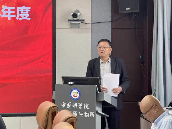 香港内部信封料一码
