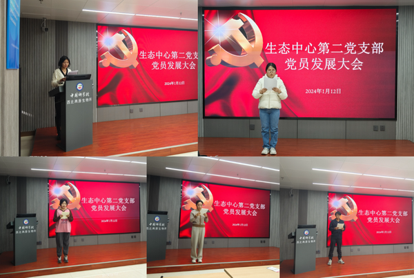 香港内部信封料一码