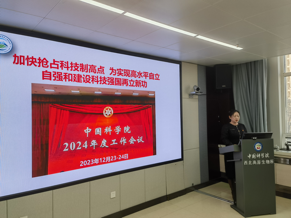 香港内部信封料一码