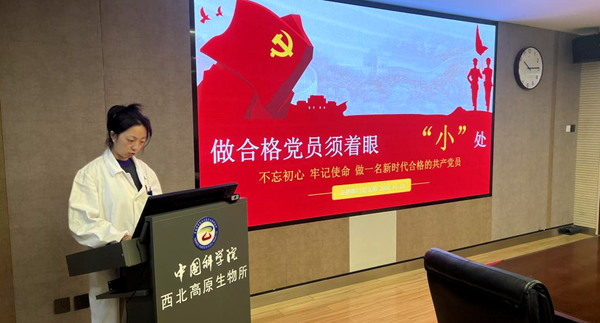香港内部信封料一码