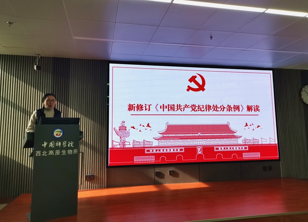 香港内部信封料一码