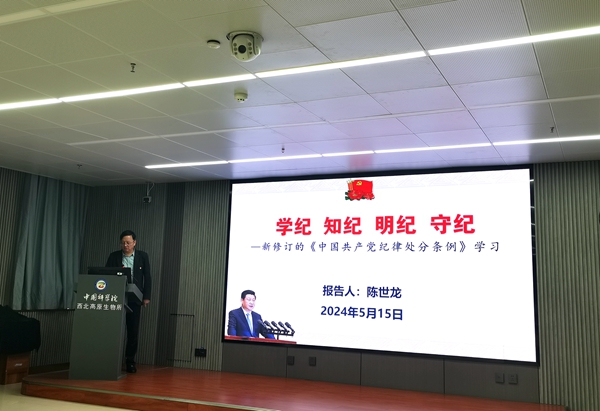 香港内部信封料一码