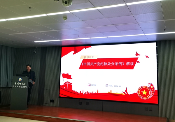 香港内部信封料一码