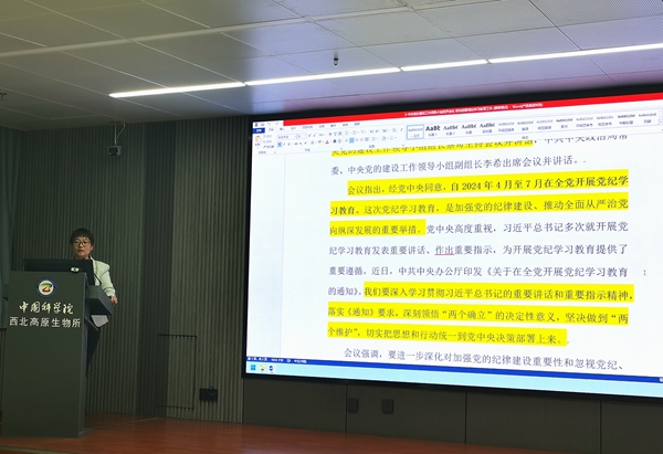 香港内部信封料一码