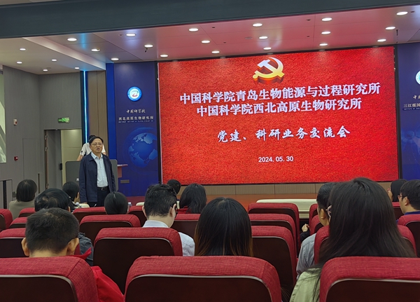 香港内部信封料一码