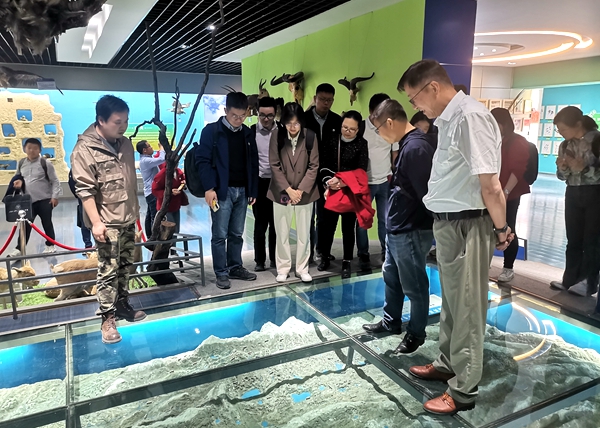 香港内部信封料一码