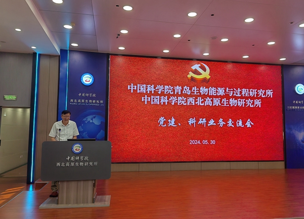 香港内部信封料一码