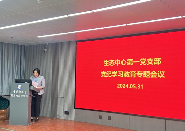 香港内部信封料一码
