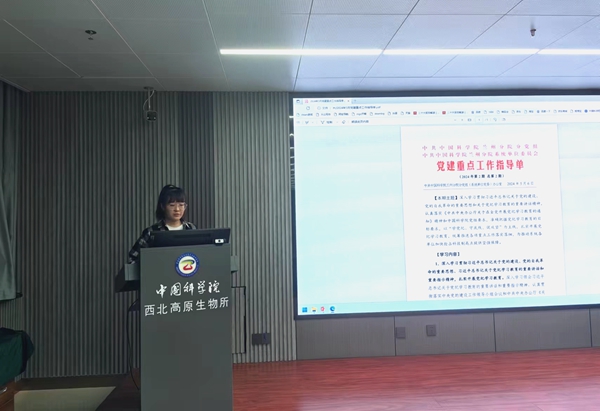 香港内部信封料一码