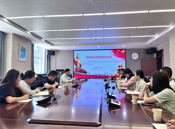 香港内部信封料一码