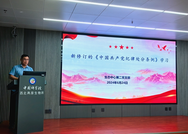 香港内部信封料一码