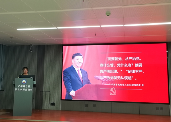 香港内部信封料一码