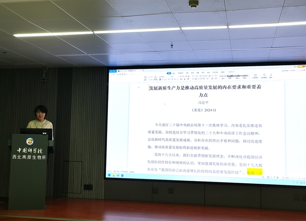 香港内部信封料一码