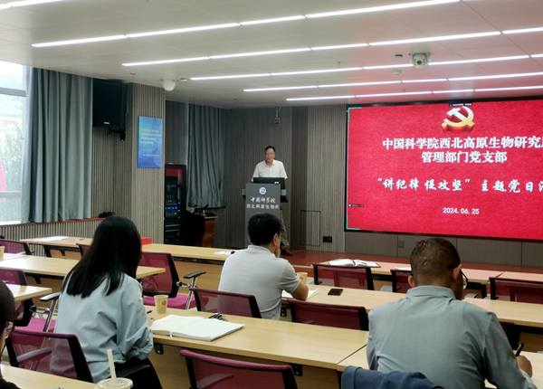 香港内部信封料一码