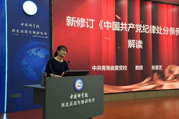 香港内部信封料一码