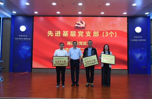 香港内部信封料一码
