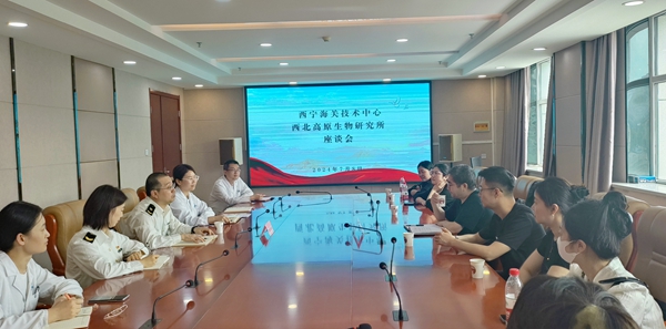香港内部信封料一码