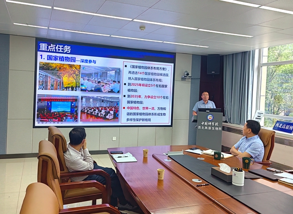 香港内部信封料一码