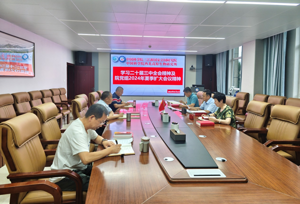 香港内部信封料一码