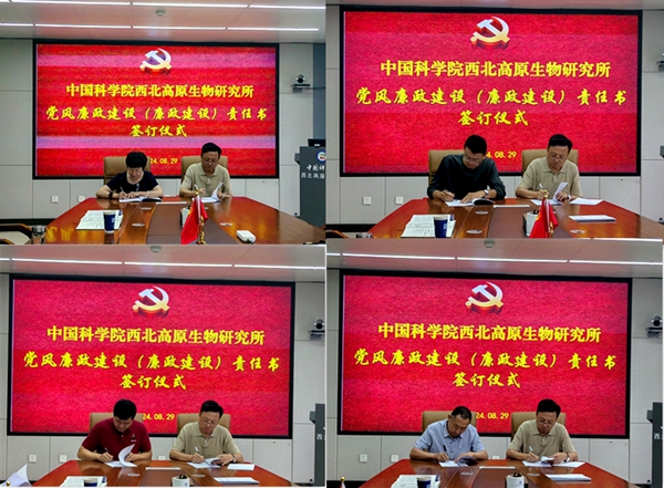 香港内部信封料一码