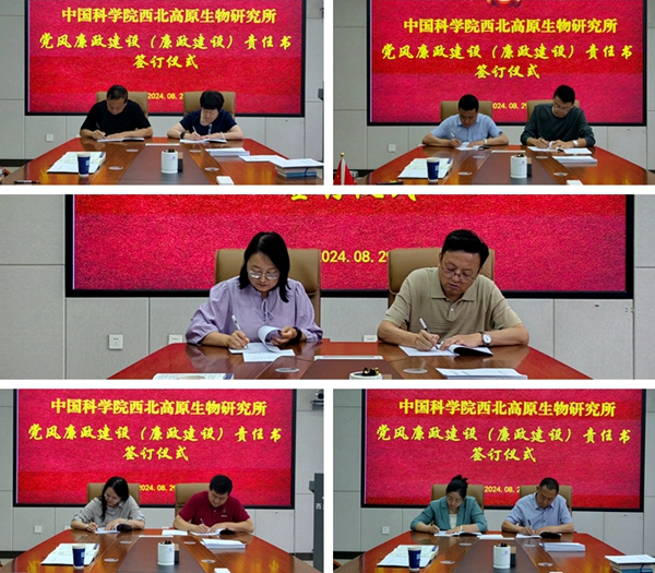 香港内部信封料一码