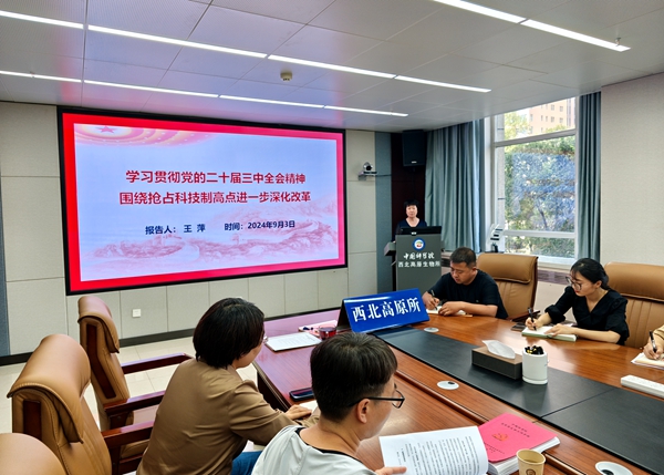 香港内部信封料一码