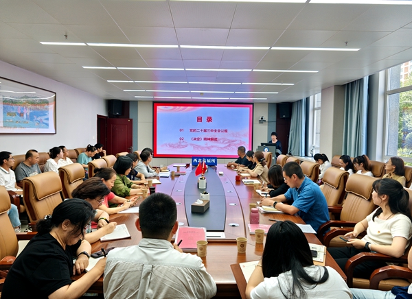 香港内部信封料一码