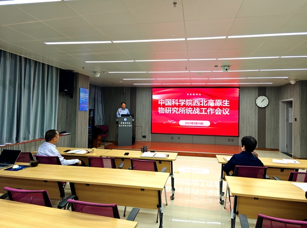 香港内部信封料一码