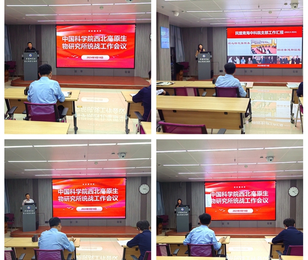 香港内部信封料一码