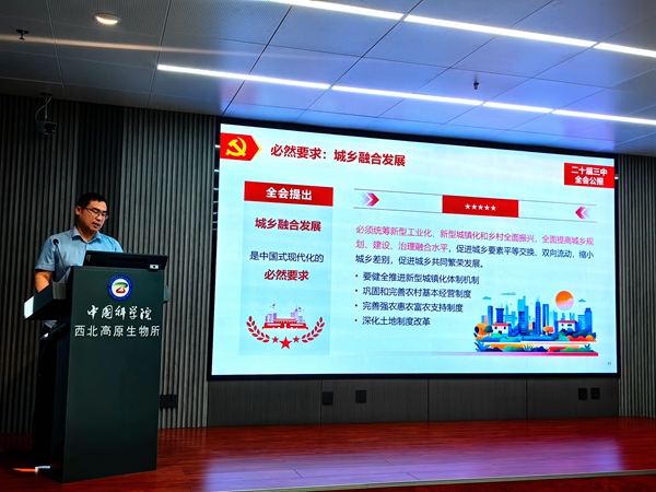 香港内部信封料一码