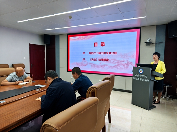 香港内部信封料一码
