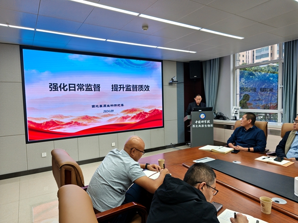 香港内部信封料一码