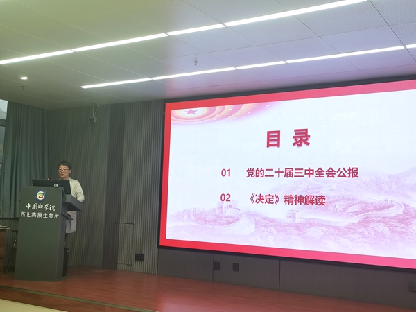 香港内部信封料一码