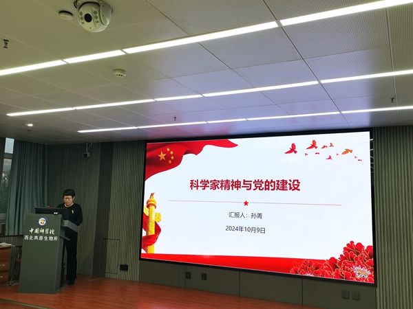 香港内部信封料一码