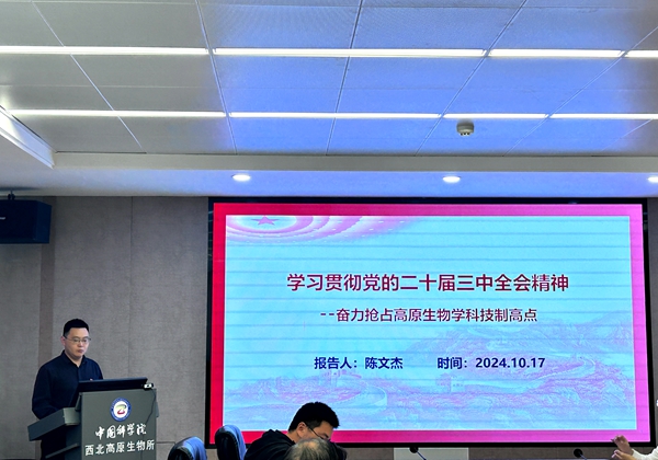 香港内部信封料一码