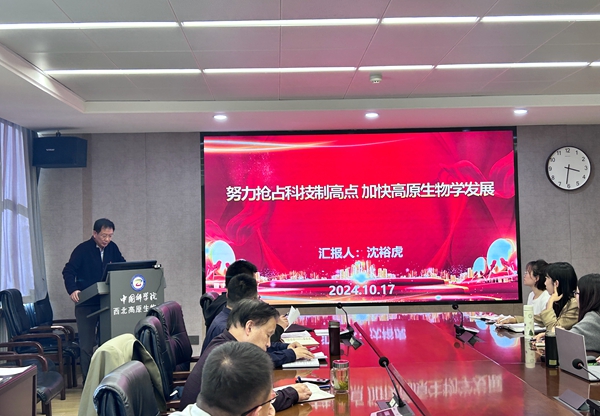 香港内部信封料一码
