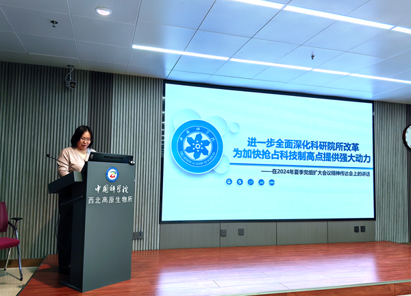 香港内部信封料一码