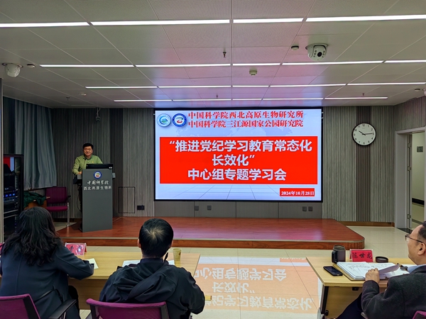 香港内部信封料一码