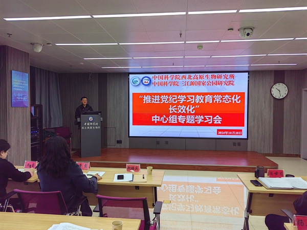 香港内部信封料一码