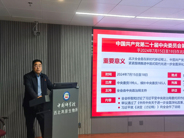 香港内部信封料一码