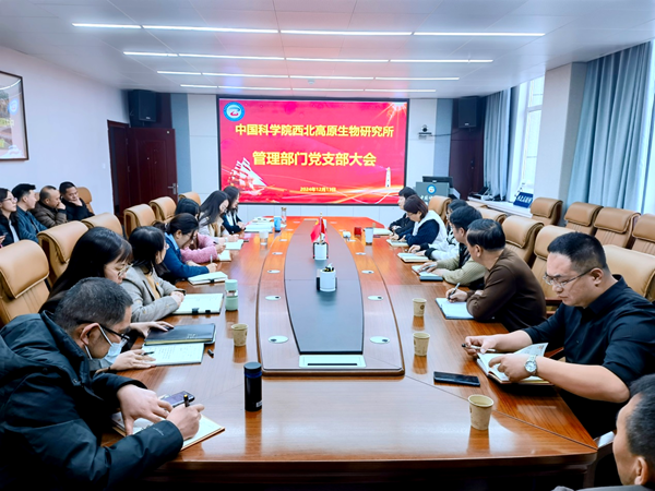 香港内部信封料一码