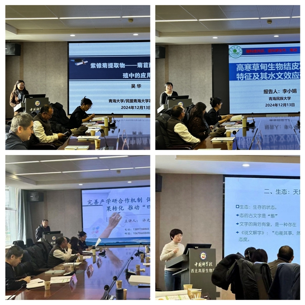 香港内部信封料一码