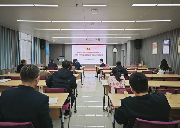 香港内部信封料一码