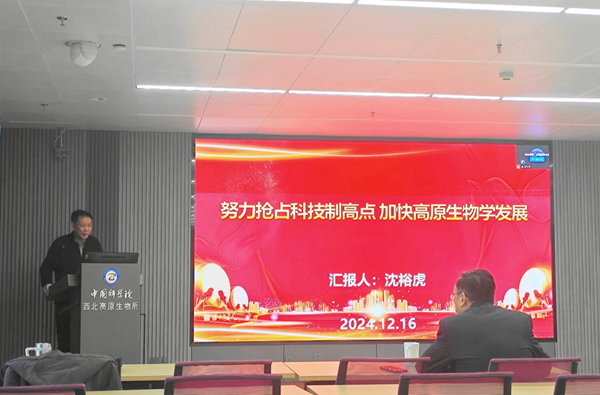 香港内部信封料一码