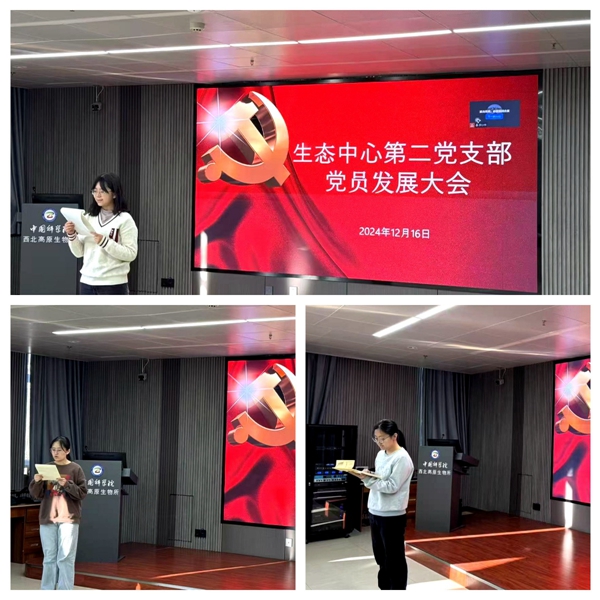 香港内部信封料一码
