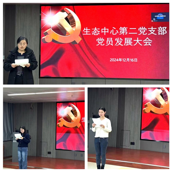 香港内部信封料一码