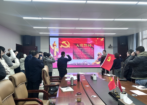 香港内部信封料一码