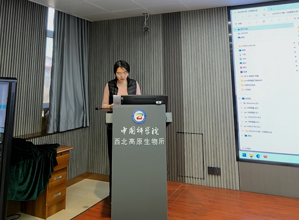 香港内部信封料一码