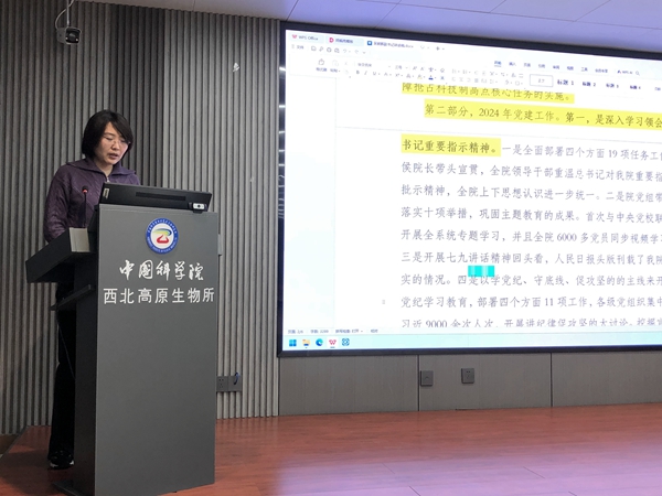 香港内部信封料一码